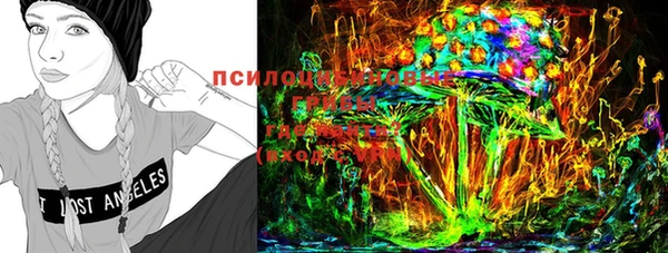 герыч Алексин