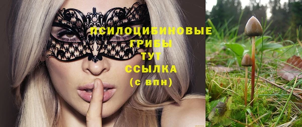 герыч Алексин