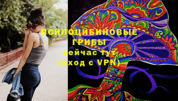 герыч Алексин