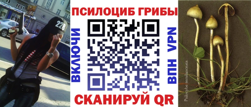 Галлюциногенные грибы MAGIC MUSHROOMS  Липки 